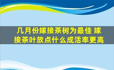 几月份嫁接茶树为最佳 嫁接茶叶放点什么成活率更高